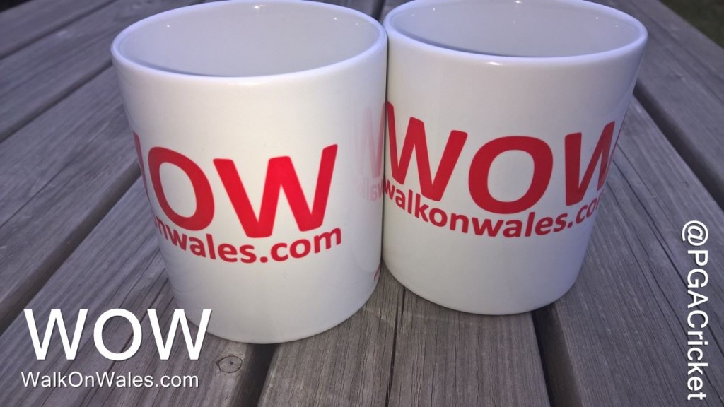 WOW Mugs - £5 each